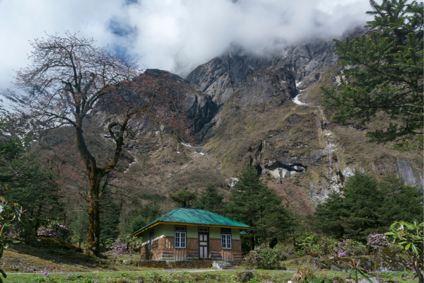 1710587820_Yumthang Valley, Lachung, Sikkim,.png